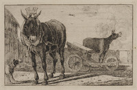 TvB G 1157
          <br/>
          Ezels
          <br/>
          <em>Hecke, Jan van den (1620-1689)</em>